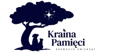 Kraina Pamięci