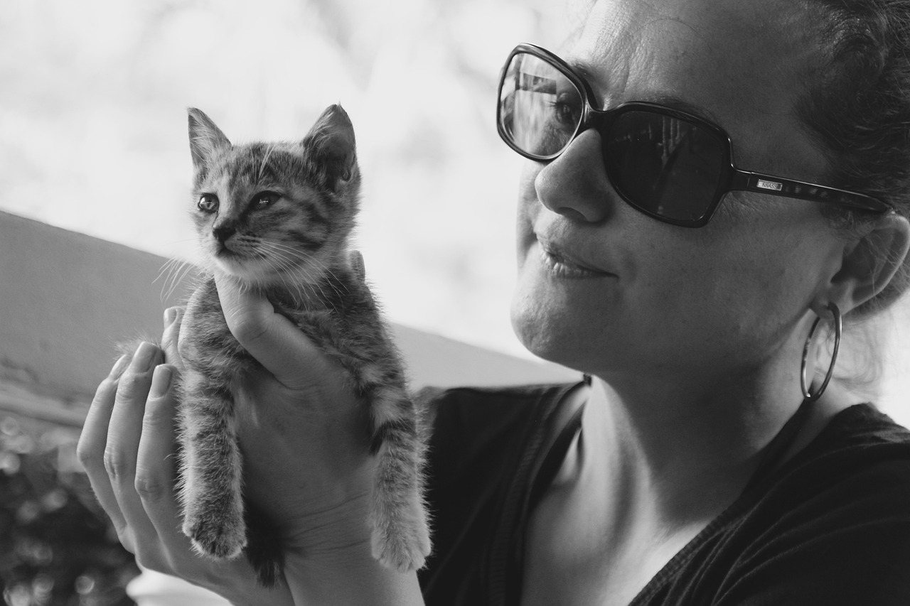 cat-1189823_1280