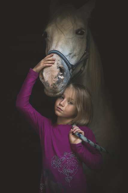 horse-3964534_1280