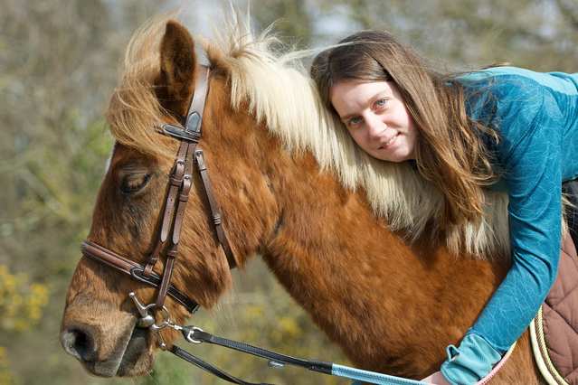horse-6854137_1280