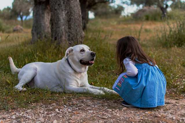 kid-5718703_1280