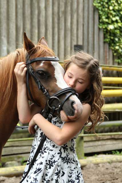 pony-2595144_1280
