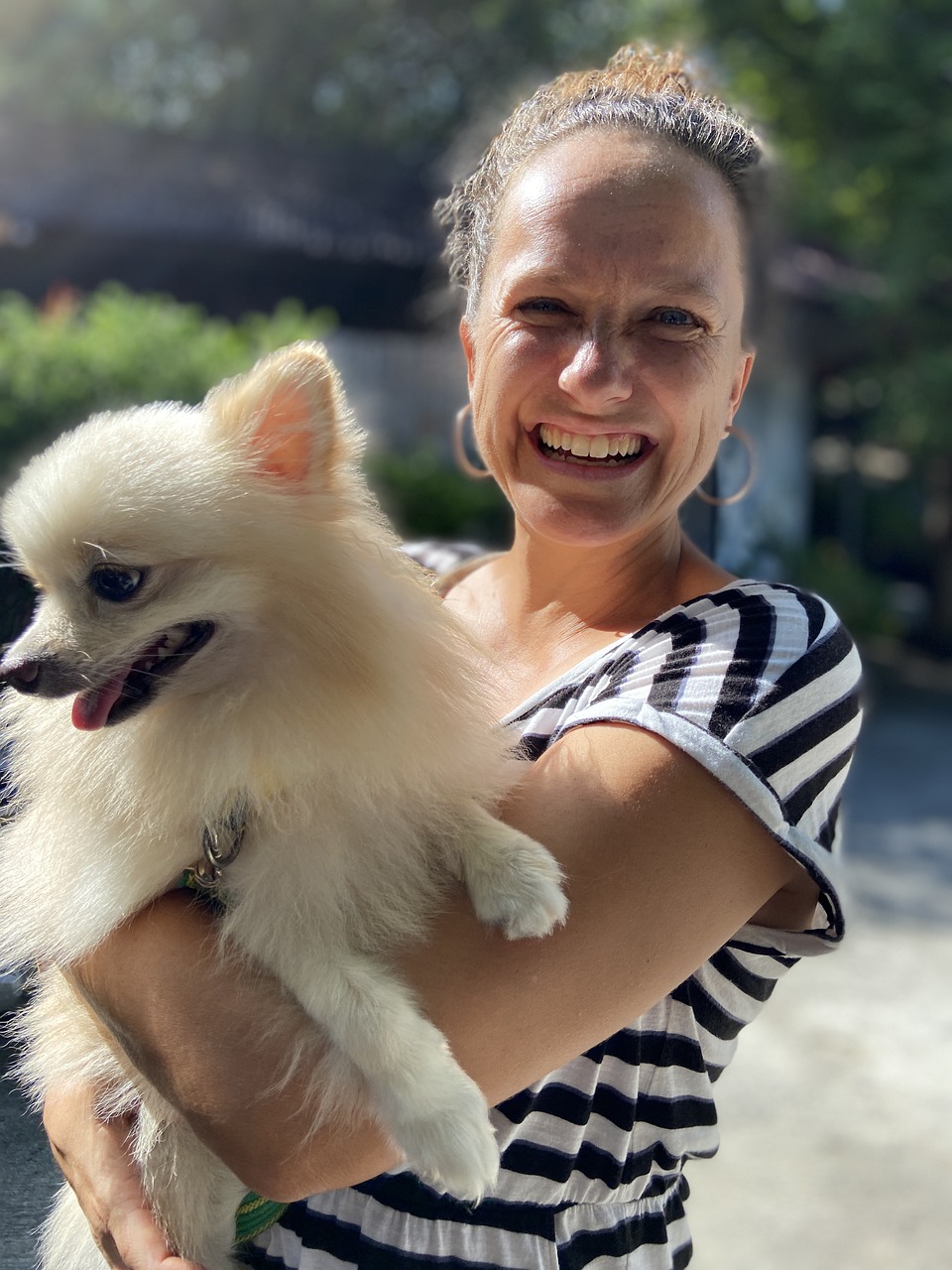 small-dog-5288906_1280
