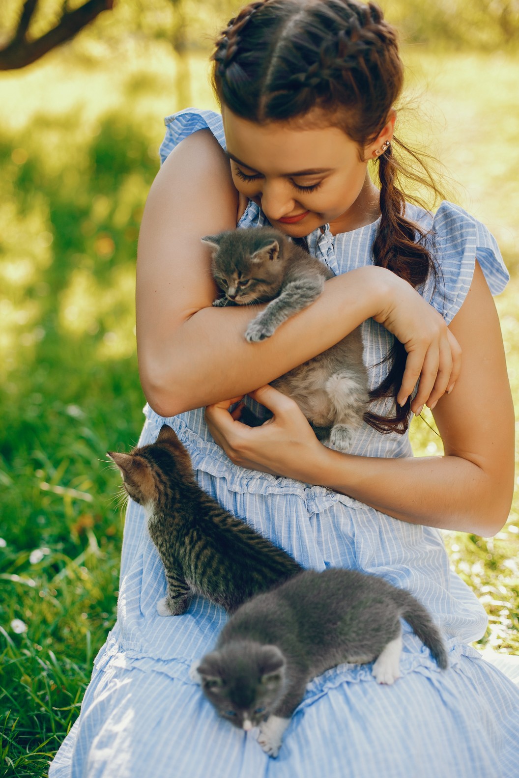 beautiful and cute girl in blue dresses with beautiful hairstyles and make-up sitting in a sunny green garden and playing with a cats
